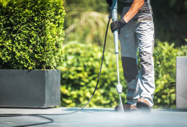 Solar Panel Cleaning in Corrigan, TX