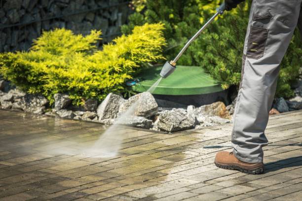 Animal Enclosure Cleaning in Corrigan, TX