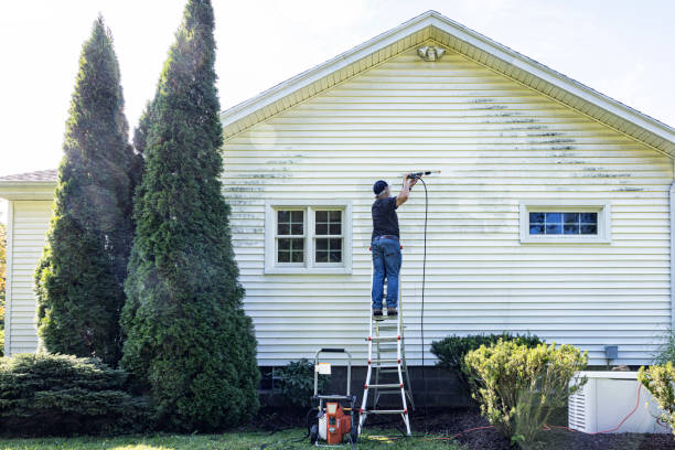 Best Patio and Deck Pressure Washing  in Corrigan, TX