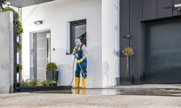 Best Solar Panel Cleaning  in Corrigan, TX